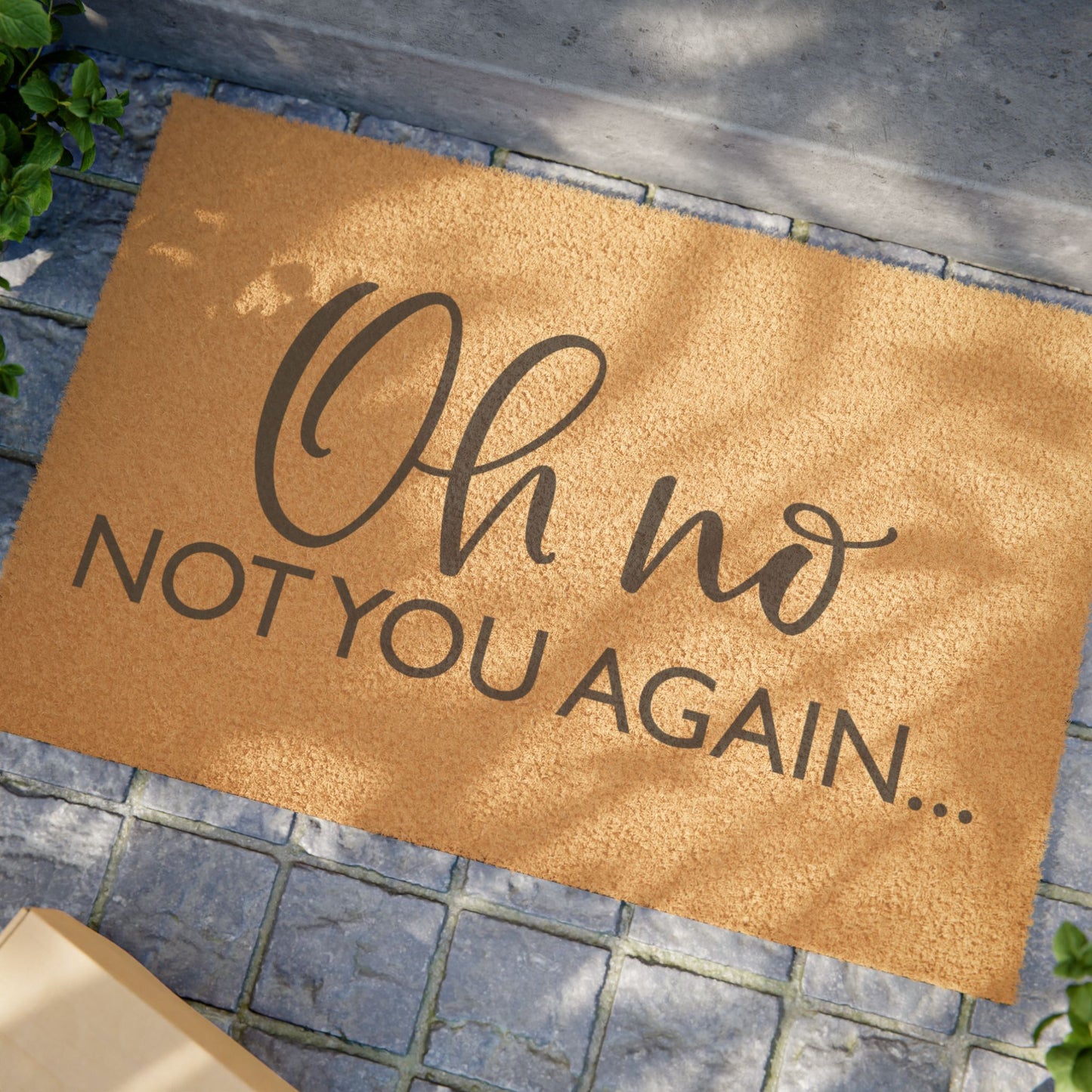 Doormat – "Oh No, Not You Again" Funny Funny Welcome Mat for Home & Apartment